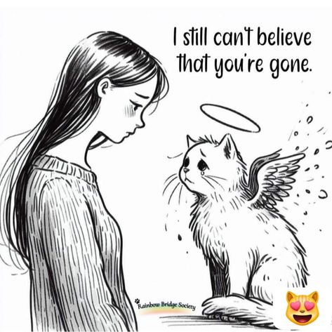 Losing A Cat Quote, Gato Angel, I Miss My Cat, Cat Love Quotes, Cat Loss, Today Is My Birthday, Angel Cat, Lost Cat, Mama Cat