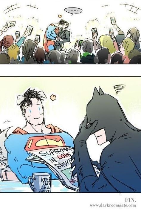 Math Comics, Dc Ships, Testament Of Sister New Devil, Superman X Batman, Superman X, Pokemon Alola, Univers Dc, Avengers Comics, Batman Funny