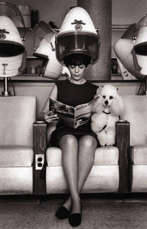 Woman and her poodle at the hair salon, New York City, c. 1965 (photographer unknown) Anjing Poodle, Vintage Hair Salons, Poodle Love, Fotografi Vintage, Standard Poodles, Natalie Wood, Beauty Parlor, Beauty Salons, Hair Salons