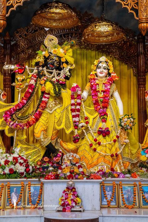 Radha Krishna Temple, Iskcon Vrindavan, Iskcon Krishna, Krishna Avatar, Krishna Temple, Radhe Krishna Wallpapers, Krishna Drawing, Shree Krishna Wallpapers, Hanuman Photos