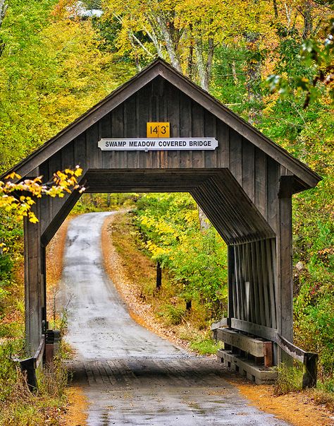 Swamp Meadow Covered Bridge in Rhode Island by Vicki Jauron Old Bridges, Architectural Art, Wooden Bridge, Covered Bridge, Autumn Scenery, Old Barns, Scenic Routes, Covered Bridges, In The Fall