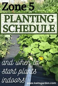 What Seeds Can You Start Indoors In February Zone 5, Fall Gardening In Zone 5, Fall Planting Vegetables Zone 5, Homesteading Zone 5, Wyoming Garden Ideas, Zone 5 Planting Schedule Vegetables, Zone 5 Fall Planting, Vegetable Garden Zone 5, Plants For Zone 5b Garden Ideas