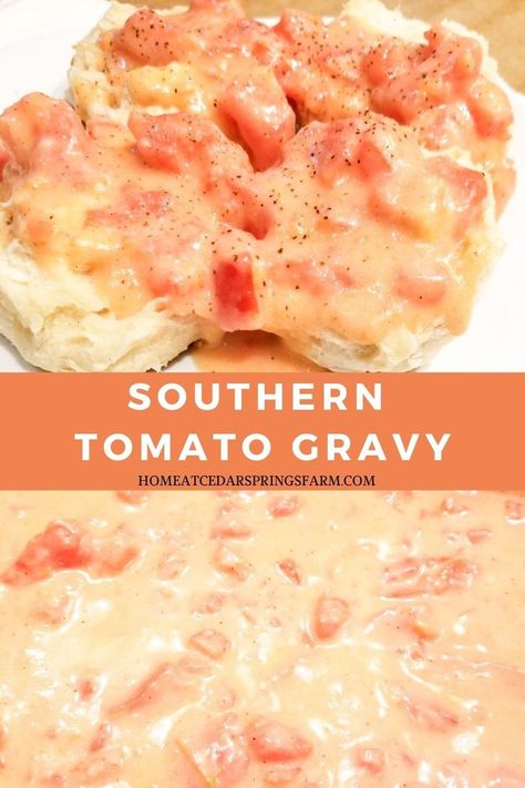 Tomato Gravy With Fresh Tomatoes, Tomato Gravy Recipe Southern, Creamed Tomatoes, Tomato Gravy Recipe, Homemade Gravy Recipe, Easy Gravy Recipe, Tomato Breakfast, Southern Cooking Recipes, Garden Tomatoes