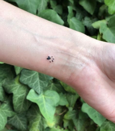 Small Tattoos Pets, Tiny Paw Tattoo, Tiny Pet Tattoos, Subtle Pet Tattoos, Dainty Dog Tattoos, Dog Paw Tattoo Design, Small Pet Tattoos, Dainty Tattoos For Women, Pet Tattoo Ideas