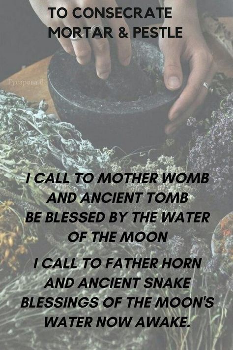 Mortar And Pestle Spells, Mortar And Pestle Witchcraft, Consecrating Magical Tools, Mortar And Pestle Witches, Witch Apothecary, Witch Tools, Magickal Herbs, Witch Supplies, Witchy Tips