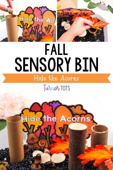 A fall sensory bin for preschoolers that includes acorns? Yes, please! Fill the acorn sensory bin with dried black beans, cardboard tubes, and acorns. Let your preschoolers pretend to be squirrels and hide the acorns in the fall sensory bin. Easy to set up and guaranteed to be a hit, grab this fall fine motor activity here! Fall Fine Motor Activities, Pumpkin Play Dough, Nature Activities Preschool, Sensory Bin For Preschoolers, Pumpkin Play, Sensory Bin For Toddlers, Play Dough Invitation, Sensory Bin Play, Fall Sensory Bin