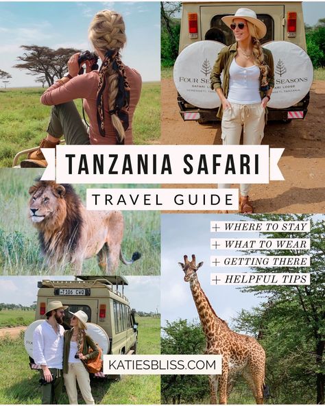 Africa Itinerary, Chobe National Park, Tanzania Travel, Africa Travel Guide, The Great Migration, Tanzania Safari, Serengeti National Park, African Travel, Africa Destinations