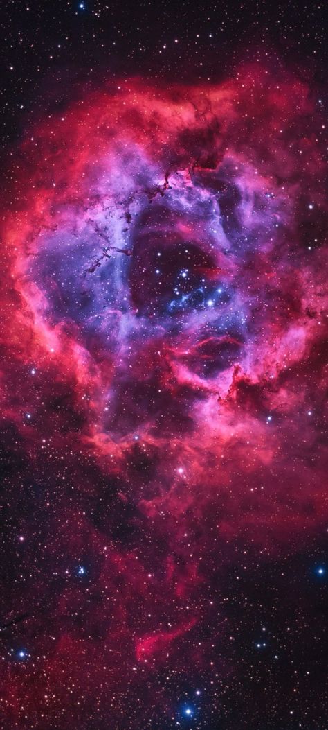 Butterfly Nebula Wallpaper Hd, Rosette Nebula Wallpaper, Space Nebula Wallpaper, Nebulae Space, Nebula Aesthetic, Space Wallpaper Iphone, Cosmos Wallpaper, Beautiful Nebula, Star Nebula