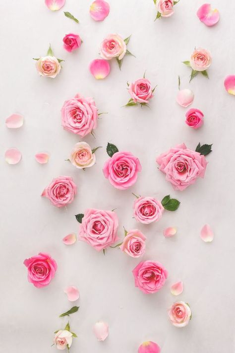 Fondo flores rosas Wallpaper Mawar, Floral Rosa, Foto Tips, Wallpaper Vintage, Pink Wallpaper Iphone, Rose Wallpaper, Everything Pink, Unusual Gifts, Flower Backgrounds