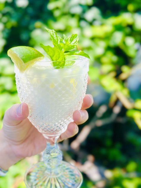 ~Egyptian Lemonade Refresher~ Egyptian Lemonade Recipe, Egyptian Drinks, Egyptian Lemonade, Lemonade Refresher, Fresh Mint Leaves, Lemon Slice, Sweetened Condensed Milk, Fresh Lime, Whole Milk