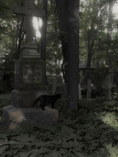 a black cat on the grave, credits: ofcatharsis Black Cat Aesthetic, Halloween Wallpaper Iphone Backgrounds, Forest Core, Dream's Cat, Black Fairy, Cat Comics, Slytherin Aesthetic, Victorian Goth, Halloween Wallpaper Iphone