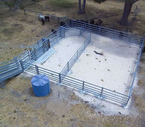 Corral Ideas, Cow Shed Design, Cattle Fence, Cattle Housing, Cattle Pens, Cattle Facility, Cattle Corrals, Ranch Gates, Cattle Barn