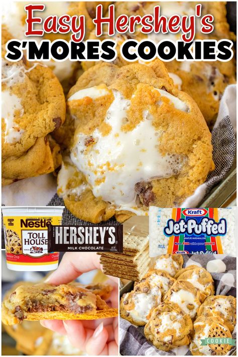 4 INGREDIENT S'MORES CHOCOLATE CHIP COOKIES - Family Cookie Recipes S’mores Chocolate Chip Cookies Easy, S’mores Chocolate Cookie, S'mores Chocolate Chip Cookies, S'mores Chocolate Chip Cookie, Viral Smores Cookies, Cake Mix Smores Cookies, Easy S’more Cookies, S’mores Chocolate Chip Cookie, Smore Chocolate Chip Cookies Easy