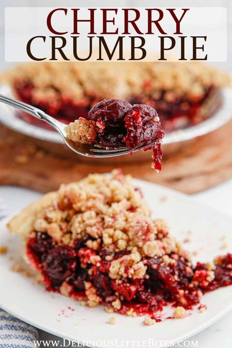 This easy-to-make Cherry Crumb Pie recipe is made with a fresh, tart cherry filling. It's topped with a brown sugar and cinnamon crumble and is the perfect additional to the holiday dessert table, as well as a seasonal treat! Frozen Tart Cherry Pie Recipe, Cherry Pie With Crumb Topping Easy, Cherry Pie With Crumble Topping, Crumb Top Cherry Pie, Cherry Pie Topping Crumble, Cherry Crumble Pie Recipe, Cherry Pie Recipes Frozen Cherries, Cherry Pie Topping, Crumb Topping For Cherry Pie