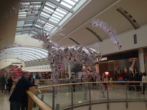 Metro centre Newcastle / Christmas decorations Newcastle Christmas, Newcastle University, Photographs And Memories, Newcastle, Fair Grounds, Christmas Decorations, Photographer, Travel, Christmas