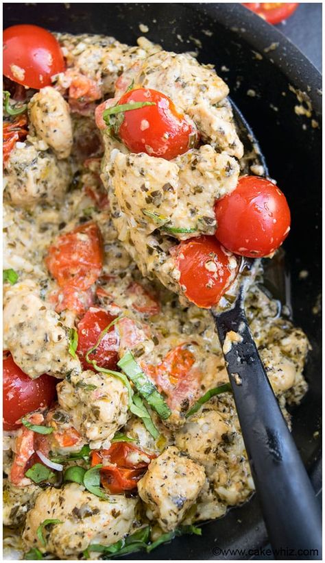 Creamy Pesto Chicken Recipe (One Pot) - CakeWhiz Pesto Chicken Recipe, Creamy Pesto Chicken, Boiled Chicken Recipes, Pesto Recipes, Chicken Pesto Recipes, Chicken Pesto, Chicken Easy, Creamy Pesto, Tasty Chicken