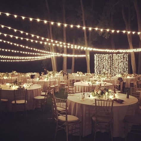 2016 Wedding Trend: Lighting - Tent and Party Rental Rochester NY ... Cheap Wedding Decor, 2016 Wedding Trends, Wedding Decor Rentals, How To Dress For A Wedding, Romantic Outdoor Wedding, Bistro Lights, Outdoor Wedding Photography, Wedding Sparklers, Inexpensive Wedding