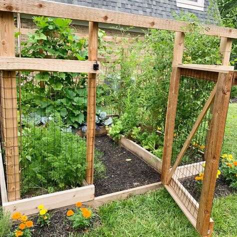 Learn how to build your own enclosed deer proof garden enclosure with raised beds. This is a perfect solution for those who live with an active deer population. This blog post covers suggested materials, the steps to build the garden, and the overall cost breakdown. Animal Proof Garden, Deer Proof Garden, Enclosed Garden Beds, Garden Enclosure Ideas, Courtyard Garden Design, Fenced Vegetable Garden, Garden Bed Layout, Deer Proof, Diy Garden Fence