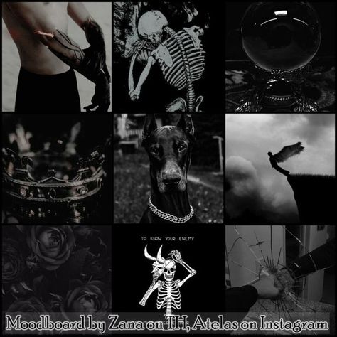 I've always loved making moodboards, so here are a few that I had fun doing. All images come from pinterest, and have a specific theme and species. They are free! use them to create your adopts or oc (no need to credit me until the signature is not removed) Doberman Moodboard, Fallen Angel Moodboard, Sylvie Aesthetic, Pretty Moodboards, Black Moodboard, Fursona Ideas, Moodboard Images, Wolf Character, Adopt Idea