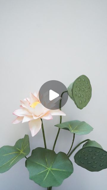 Sara Kim on Instagram: "Paper lotus new template and tutorial now available on my link in bio 🪷 always wanted to try making this flower but had the weird fear of holes when looking at those pods but overcame it while making it out of paper and seriously love them now so much I made the dried pod version too 💕" Lotus Flower Tutorial, Fear Of Holes, Weird Fears, Paper Lotus, New Template, Flower Tutorial, Paper Flowers, Lotus, Link In Bio