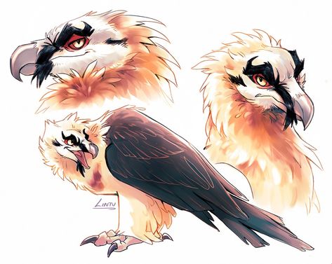 Bearded Vulture Character Design, Bearded Vulture Art, Vulture Reference, Birds Concept Art, Bearded Vulture, Creatures Art, Fantasy Beasts, Bearded Man, Creature Drawings