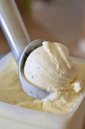 French Style Vanilla Bean Ice Cream Scoop Of Ice Cream, Bean Ice Cream, Ice Cream Maker Recipes, Frozen Custard, Homemade Ice Cream Recipes, Love Ice Cream, Vanilla Bean Ice Cream, Ice Cream Popsicles, Ice Cream Treats