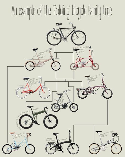 'Comprehensive Guide To The Bicycle' | GearJunkie Moulton Bike, Bike Friday, Bicycle Illustration, Brompton Bicycle, Foldable Bikes, Bicycle Safety, Bike Equipment, Bike Motor, Bicycle Print