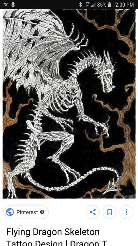 Skeletal Dragon, Dragon Tattoo Outline, Dragon Back Tattoo, Bone Dragon, Illusion Illustration, Skeleton Pics, Dead Dragon, Dragon Skeleton, Drawing Dragon