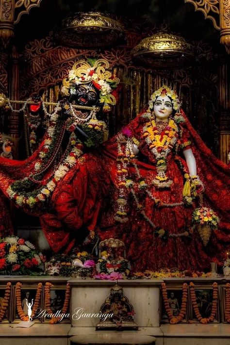 Vrindavan Photography Pictures, Iskcon Krishna, Krishna Temple, Radhe Krishna Wallpapers, Shree Krishna Wallpapers, Hanuman Photos, Lord Krishna Hd Wallpaper, Peace Illustration, Radha Krishna Wallpaper