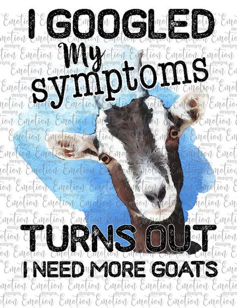 Goat Quote, Goat Art, Raising Goats, Goats Funny, Goat Shirts, Cute Goats, A Goat, Farm Signs, Goat Farming