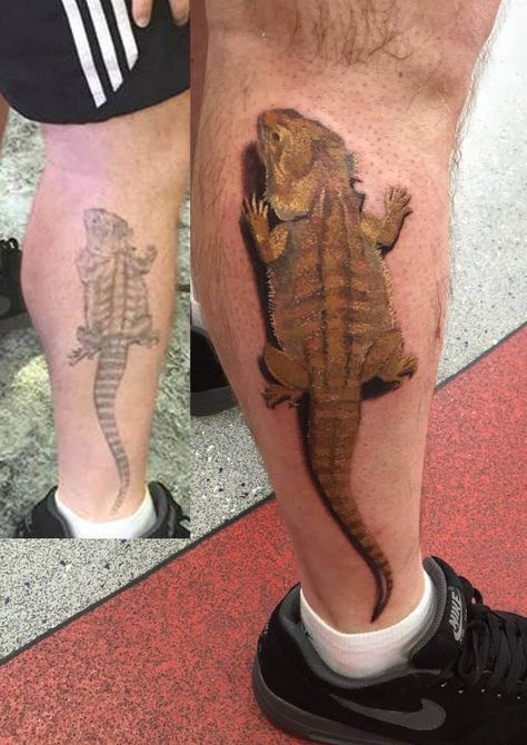 35 Realistic Reptile Tattoo Designs | PetPress Reptile Tattoo Ideas, Reptile Tattoo, Iguana Tattoo, Bearded Dragon Tattoo, Gecko Tattoo, Lizard Tattoo, Tattoo 2023, Bearded Dragon Cute, Inspiration Tattoo