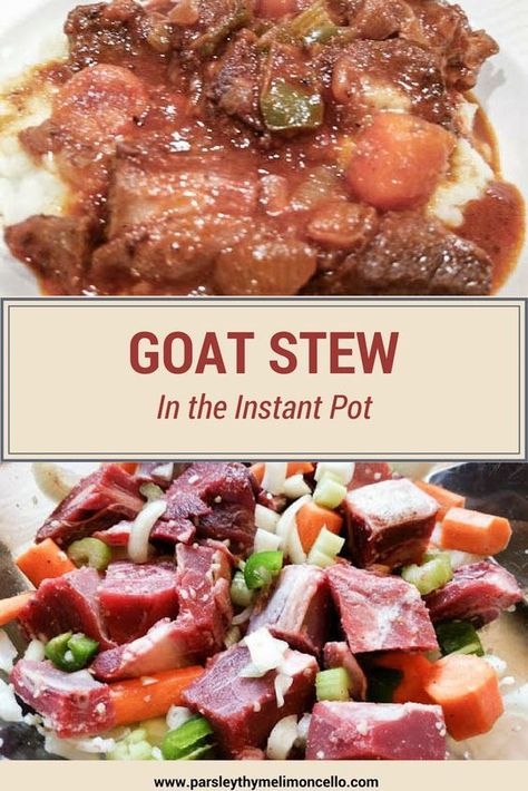 Goat Stew Recipe, Goat Stew, Goat Recipes, Pot Recipes Healthy, Goat Meat, Low Carb Snack, New Food, Instant Pot Pressure Cooker, Healthy Families