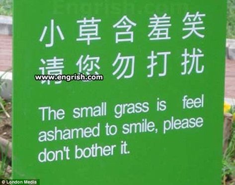 Tread lightly: Chinese people are known for their modesty but who would have guessed even the grass is ashamed to smile? Translation Fail, Funny Translations, Bad Translations, Lost In Translation, Funny Signs, That Way, I Laughed, Fails, The Globe