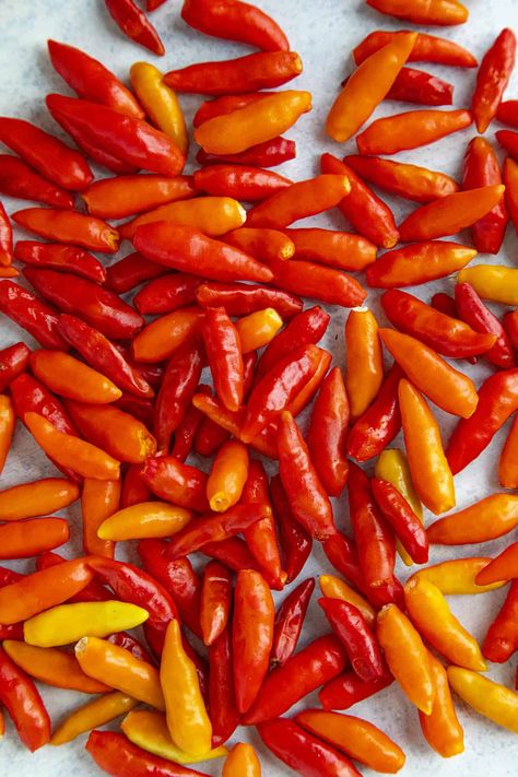 Chili Pepper Types - A List of Chili Peppers and their Heat Levels - Chili Pepper Madness Chili Roaster, Tabasco Sauce Recipe, Tabasco Peppers, Types Of Chili, Types Of Chili Peppers, Canning Peppers, Preserving Vegetables, Chili Pepper Recipes, Tabasco Pepper