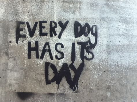 every dog has it's day Every Dog Has Its Day Quotes Life, Every Dog Has Its Day Quotes, Cafe Ideas, Have A Day, Day Quotes, Quotes Life, Reality Quotes, Fact Quotes, Quote Of The Day