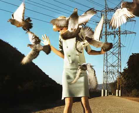 Alex Prager’s hyperreal America – in pictures | Art and design | The Guardian Alex Prager, William Eggleston, Diane Arbus, Cindy Sherman, Martin Parr, Foto Art, Cinematic Photography, Contemporary Photography, Bird Photo