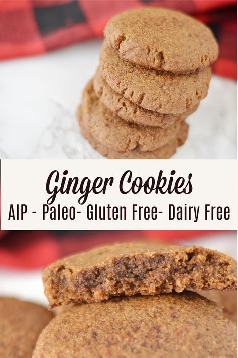 Aip Gingerbread Cookies, Aip Dessert Recipes, Aip Paleo Desserts, Aip Cookies, Aip Snacks, Aip Treats, Aip Recipe, Aip Baking, Aip Diet Recipes