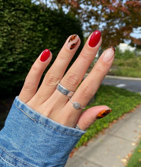 Tortoise Season 🤎🐢❤️ Finally tried my hand at doing tortoise nails and can I just say I’m OBSESSED! Also had to break out my favorite red for the fall season! Used @nailthoughts tortoise nail tutorial to make these lovely nails! . . @kokoist @nailthoughts Platinum Filler Base, NT Tortoise Shell, NT Baby Cakes, Blackest Black, Marrone Brown Glads, Ultra Glossy Top Coat @dndgel Boston University, Walnut Brown . . #nailart #nailarttutorial #nailvideos #nails #nailideas #nailinspo #naildesigns... Tortoise And Red Nails, Tortoise Nail, Tortoise Nails, Nails Tutorial, Blackest Black, Lovely Nails, Nail Tutorial, Boston University, Baby Cakes