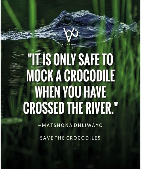 Quotes alligator.... #inspirationalquotes #motivationalquotes #quotes #quotesforwomen #beautyquotes #beauty #quotesforgirls #girlquotes #confidenceboost #quotesaboutlife #quote #alligator #quotes #florida #love #everglades #quoteoftheday #nature #motivation #wildlife #life #swamp #inspiration #travel #success #usa #inspirationalquotes #gator #instagood #crocodile #quotestoliveby #miami #entrepreneur #neworleans #motivationalquotes #louisiana #art #naturephotography #poetry #reptile Crocodile Quotes, Alligator Quotes, Alligator Drawing, Later Alligator, See You Later Alligator, Louisiana Art, Florida Gator, Quotes For Instagram, Confidence Boost