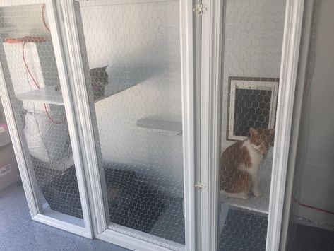 Outside Litter Box Enclosure, Cat Litter Garage Ideas, Cat Garage Ideas, Litter Box In Garage Ideas, Ideas For Cat Litter Boxes, Litter Box Garage, Garage Cat Enclosure, Kitty Litter Enclosure, Garage Litter Box Enclosure