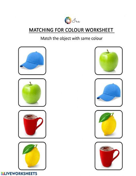 Color Worksheet, Preschool Color Activities, Color Worksheets For Preschool, Simple Objects, Preschool Activity Books, Shapes Worksheet Kindergarten, Fun Worksheets For Kids, Matching Worksheets, Matching Colours