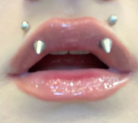 Angel Piercing Lips, Fang Pericings, Angel Bites Piercing Aesthetic, Vampire Fangs Piercings, Vampire Piercing Mouth, Angle Bite Fangs Piercing, Angel Bite Piercing Fangs, Kitty Fangs Piercing, Angel Fangs Piercing With Snake Bites