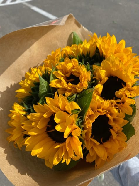 Fairytale Lifestyle, Sunflower Bucket, Different Types Of Flowers, Fireworks Show, Flower Therapy, Beautiful Flower Arrangements, Types Of Flowers, Beautiful Horses, Love Flowers