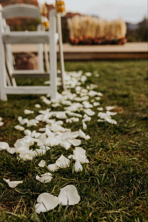 White Petals Down Aisle Outdoor Ceremony, Ceremony Petals Aisle, Rose Petals Along Wedding Aisle, Single Stem Flower Isle, Rose Petal Aisle Wedding Outdoor, Isle Petals Wedding, Petals Down Aisle Wedding, White Petals Aisle, Rose Petals Lining Aisle