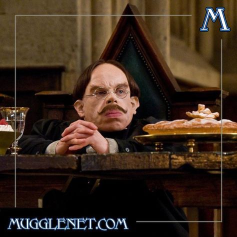 Happy birthday to the head of Ravenclaw House and Charms professor of Hogwarts, Filius Flitwick! ⠀ .⠀ .⠀ .⠀ #FiliusFlitwick #Ravenclaw… Filius Flitwick, The Daily Prophet, Professor Flitwick, Harry Potter Professors, Hp Characters, Fantastic Beasts Series, Hogwarts Professors, Daily Prophet, Unsung Hero