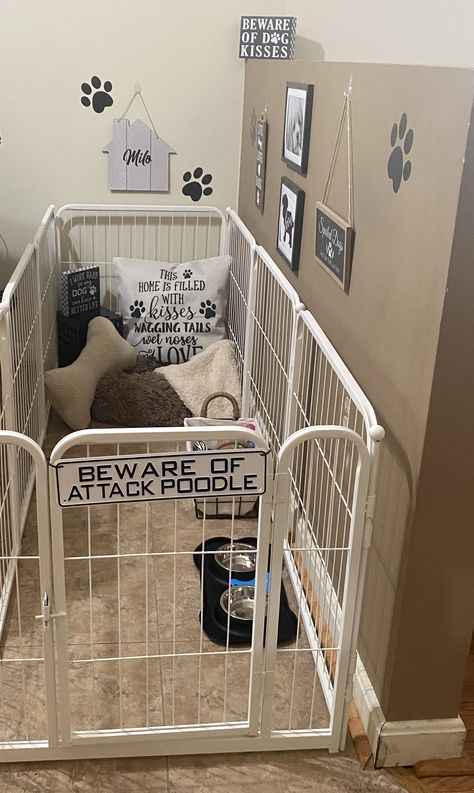 Puppy Set Up Ideas, Dog Playpen Indoor, Dog Space, Dog Bedroom, Dog Kennel Designs, Teacup Poodle, Puppy Room, Dog Storage, Doggy Daycare