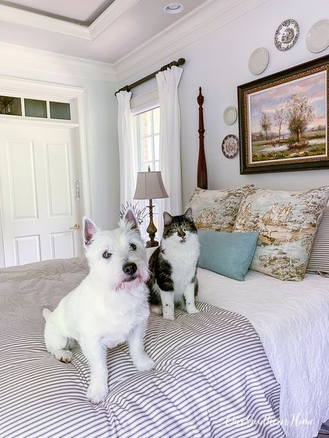 Updating the bedroom with new classic ticking stripe bedding made in the USA is the perfect addition to a farmhouse bedroom or a classic look. #masterbedroom #tickingstripe #frenchcountrybedroom #farmhousebedroom #bedroom #classic bedroom #BringTheFarmHome #redlandcotton #farmhousebedding #madeintheusa #sponsored Red Land Cotton, Ticking Stripe Bedding, Stripe Bedding, New Bedding, French Country Bedrooms, Farmhouse Look, Farmhouse Bedding, Southern Homes, Classic Bedroom