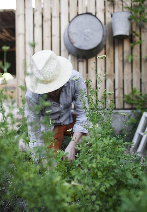 guerilla gardening, and 10 other ted talks that will change the way you think Kara Rosenlund, Working In The Garden, A Well Traveled Woman, Farm Gardens, Country Gardening, Kitchen Garden, Herb Garden, Country Life, Country Living