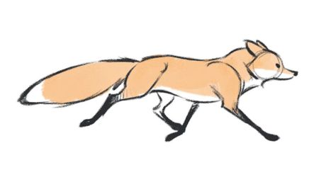 Running Drawing, Fox Sketch, Aaron Blaise, Fox Drawing, Animation Art Sketches, Animation Sketches, 강아지 그림, Wolf Drawing, Animation Reference