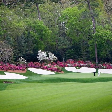 Pin by Glenda Sexton on The Masters | Golf courses, Golf vacations, Top golf courses Top Golf Courses, Augusta Golf, Famous Golf Courses, Golf Vacations, Masters Golf, Public Golf Courses, Golf Prints, Best Golf Courses, Golf Tips For Beginners